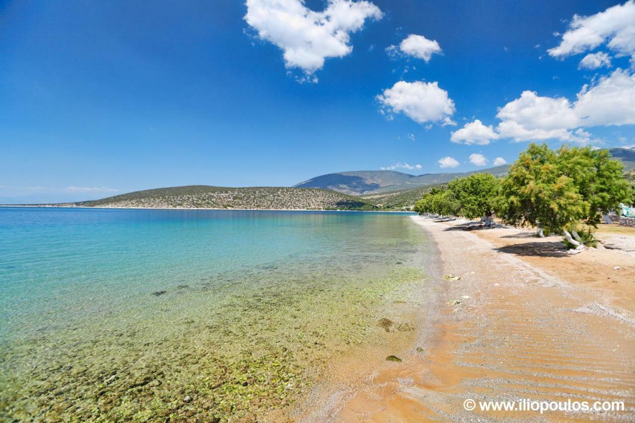 Arilena Studios Paralia  Bagian luar foto